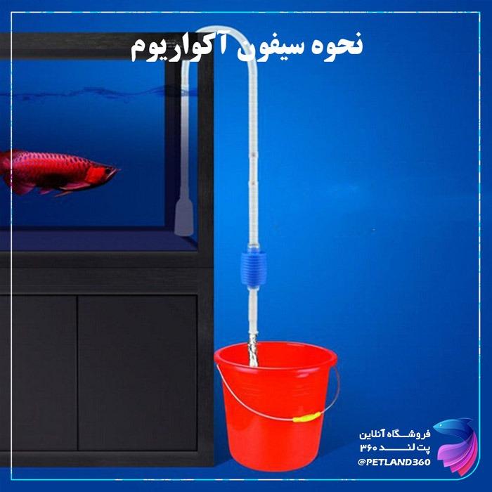 سیفون آکواریوم