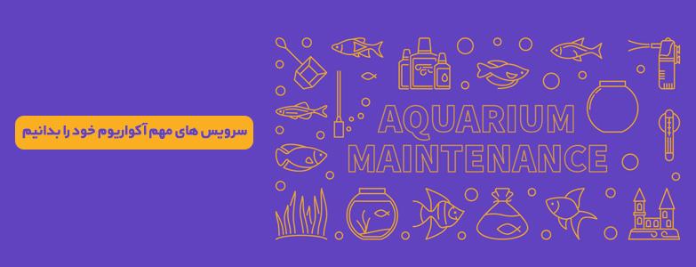 aquarium-maintenace سرویس های مهم آکواریوم خود را بدانیم