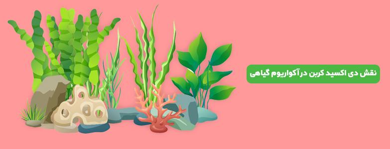 aqurium_service_planet نقش دی اکسید کربن در آکواریوم گیاهی