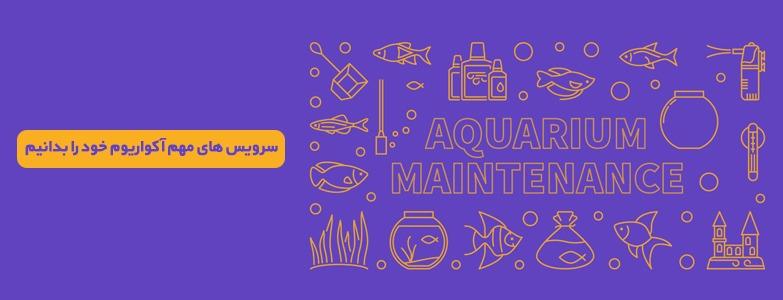 aquarium-maintenace سرویس های مهم آکواریوم