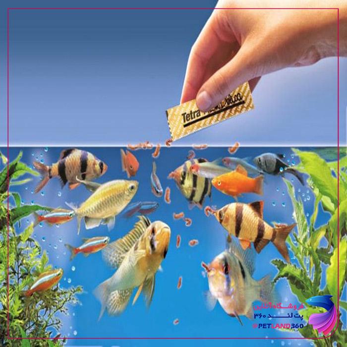 مهمترین غذای ماهی آکواریوم