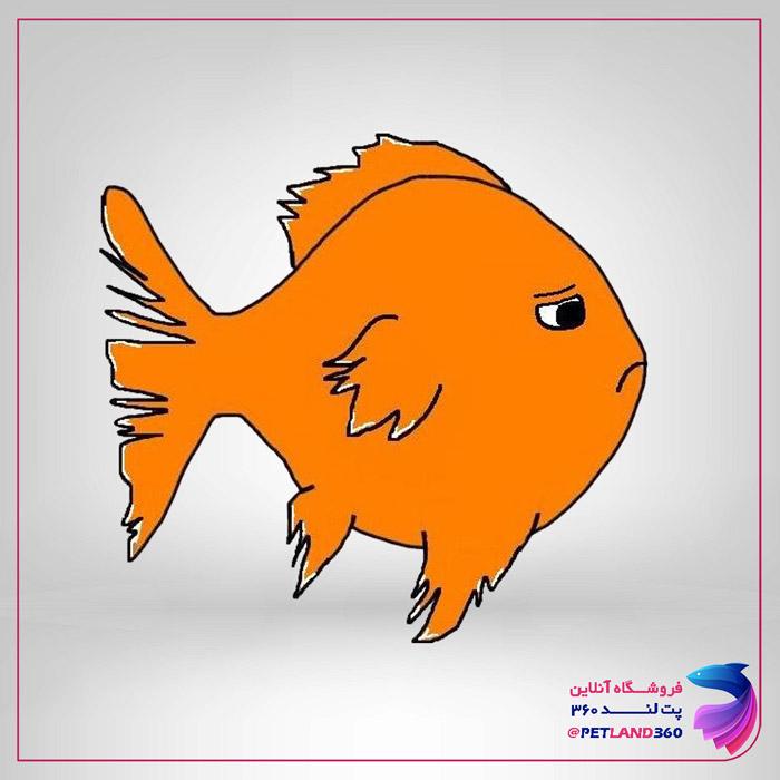 بیماری دم خوره ماهیان
