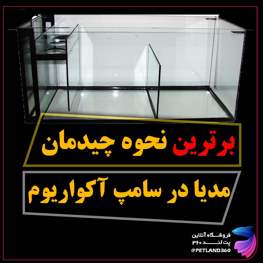 قرار گیری مدیا در سامپ آکواریوم