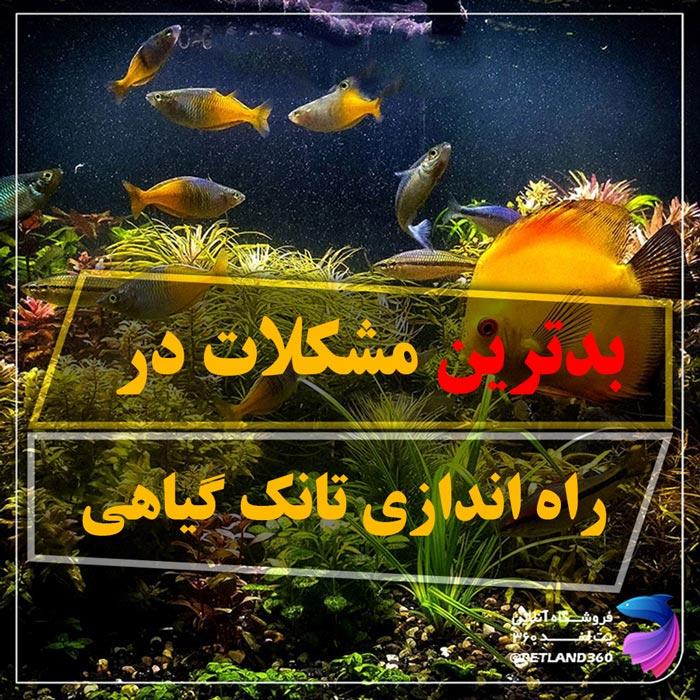 مشکلات راه اندازی آکواریوم گیاهی