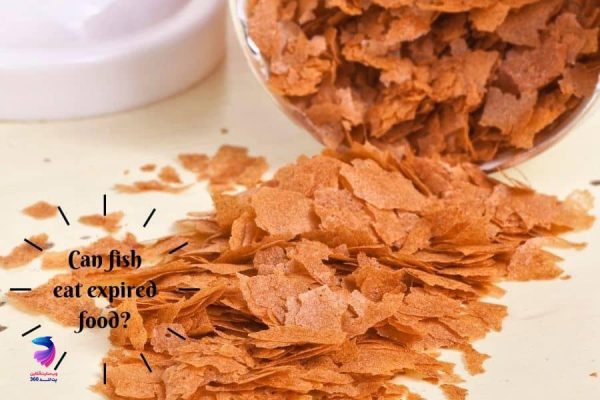 تاریخ مصرف غذای آبزیان