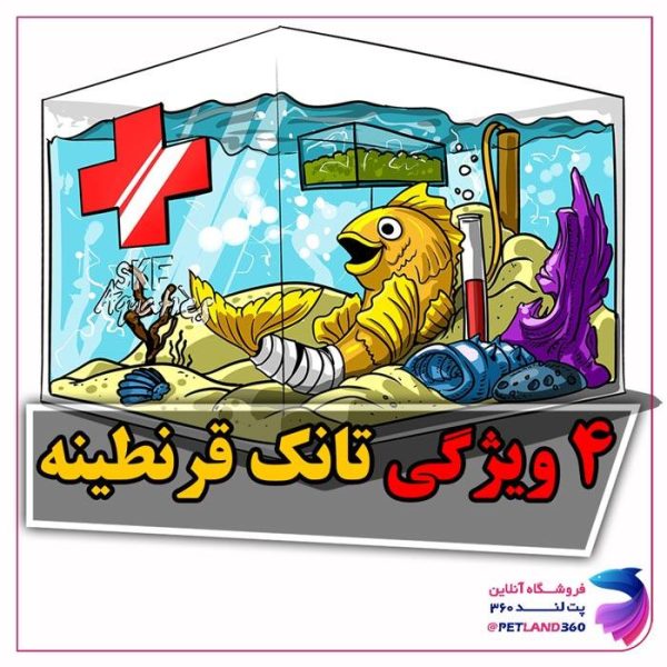 آکواریوم قرنطینه