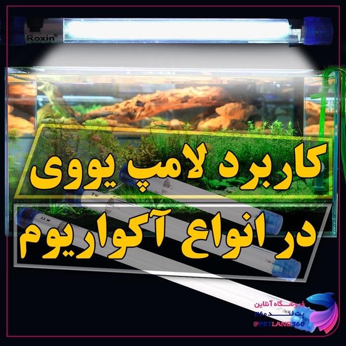 کاربرد لامپ یووی در اکواریوم
