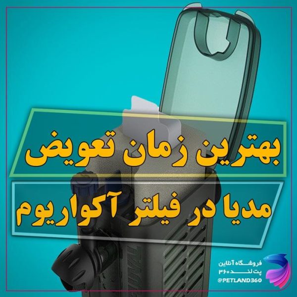 بهترین زمان تعویض مدیا فیلتر آکواریوم