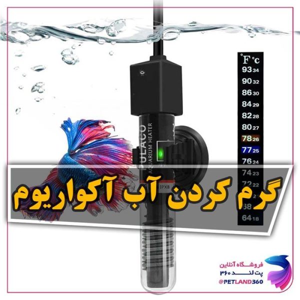 مهمترین دلایل گرم کردن آب آکواریوم