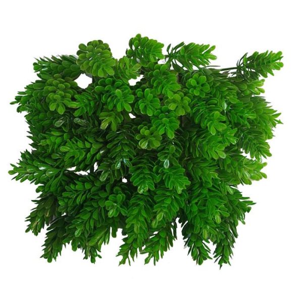 چمن مصنوعی آکواریوم کد 1623