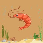 لوازم میگو آب شیرین