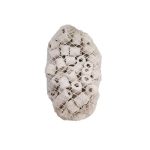 سرامیک آکواریوم آکوا Bio-103 - Image 2