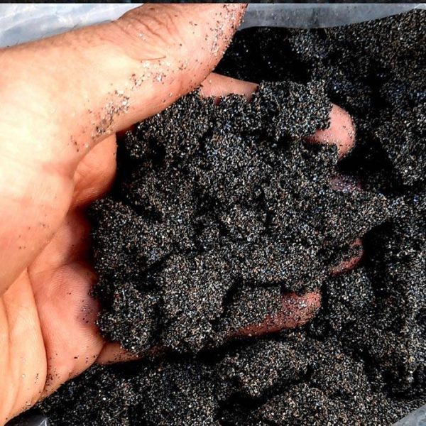 شن آکواریوم اکلیلی مشکی 5 کیلویی - Image 3