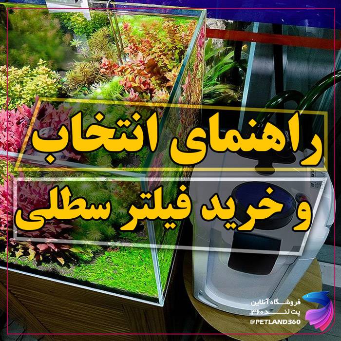 راهنمای انتخاب و خرید فیلتر سطلی آکواریوم