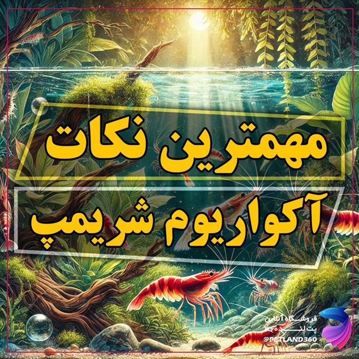 راه اندازی آکواریوم شریمپ