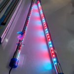 لامپ آکواریوم دی بی DB-800 - Image 3