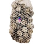 مدیا ساب استارت پرو توپی آکوا Bio 114 - Image 2