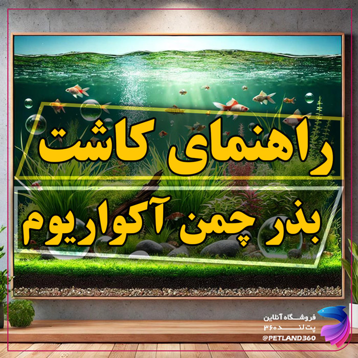 راهنمای کاشت بذر چمن آکواریوم