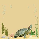 لوازم لاکپشت و خزندگان