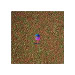 غذای ماهی استالینا آلیتا - Image 2