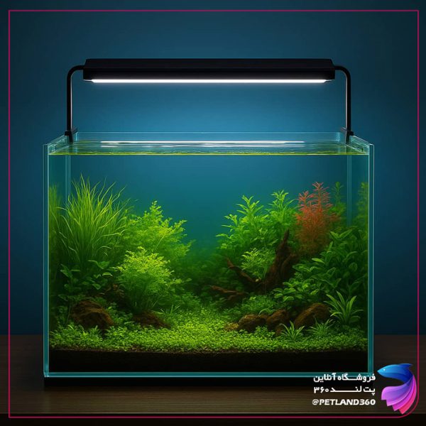 بهترین لامپ آکواریوم