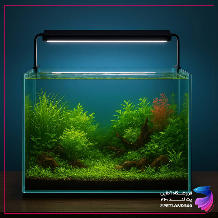 بهترین لامپ آکواریوم