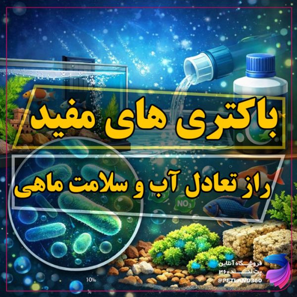 باکتری های مفید آکواریوم