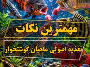راهنمای کامل تغذیه اصولی ماهیان گوشتخوار آکواریوم